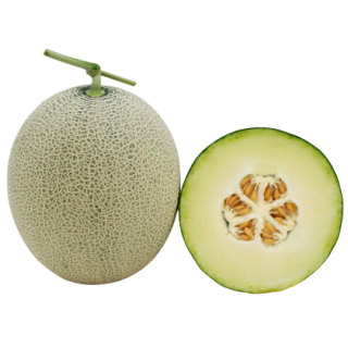 Madhuri - Known You Seed India-KYI